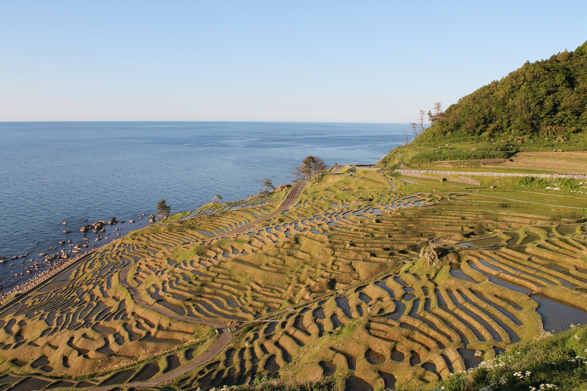 白米千枚田 201706 能登輪島net